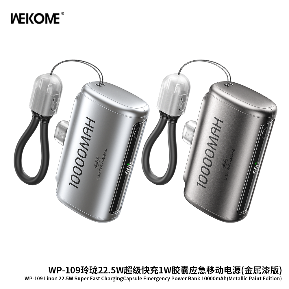 WP-109 Dual-head Charging Cable